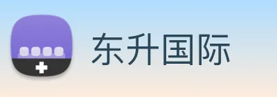 东升国际 logo